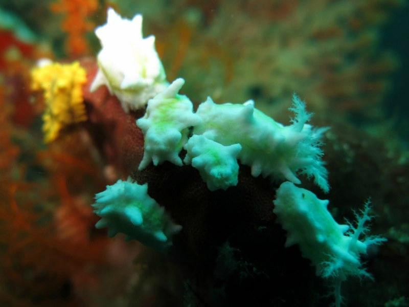 Discovery Divers Lombok-Kuta必去景点