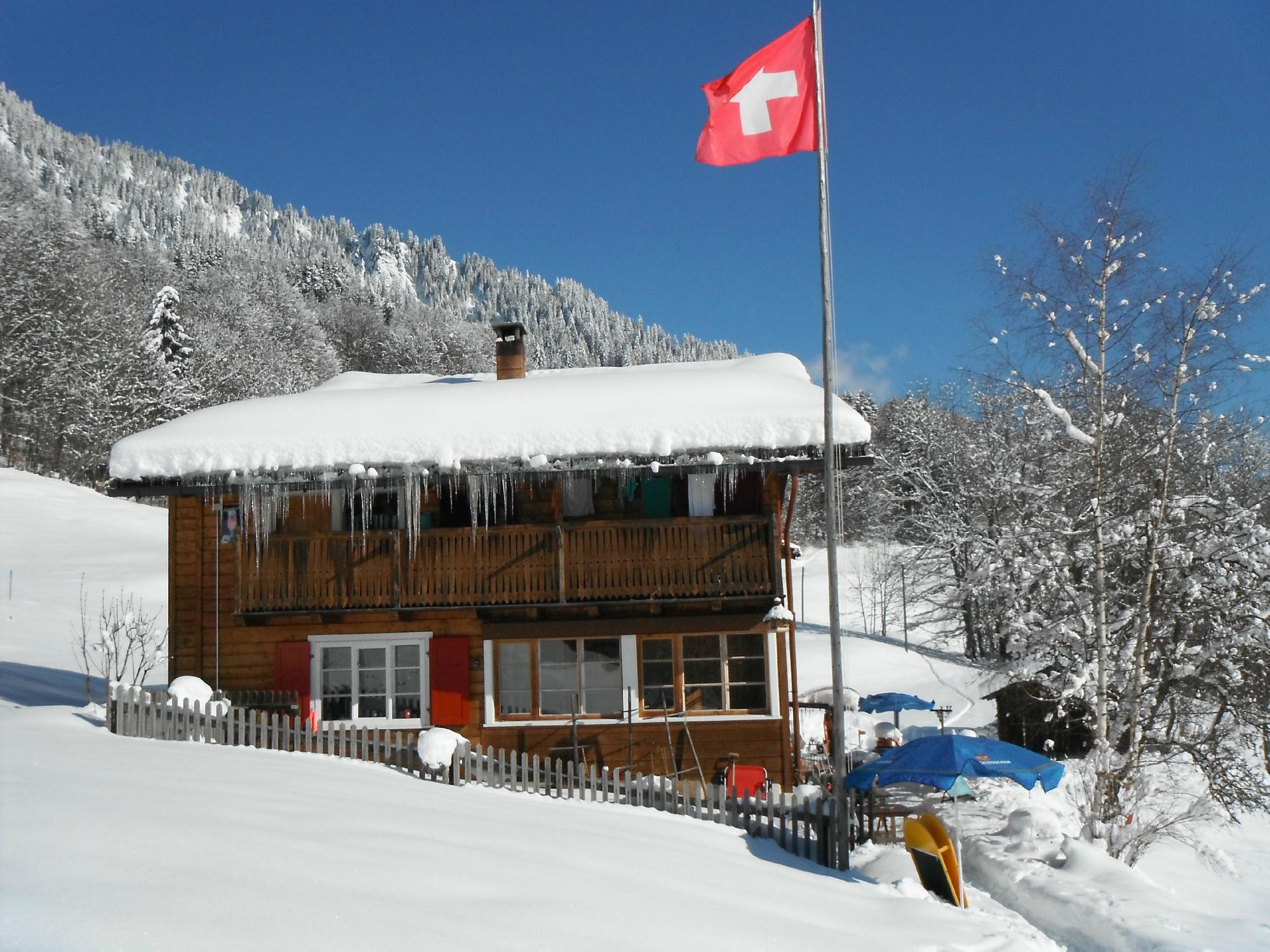 Pension & Baizli Plandadein-官方