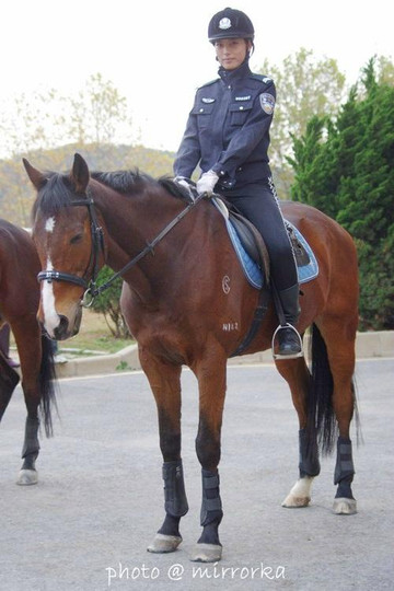 大连女子骑警基地-大连市必去景点