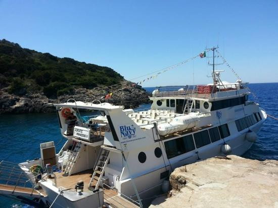 Blu Navy Cruise & Tour景点图片
