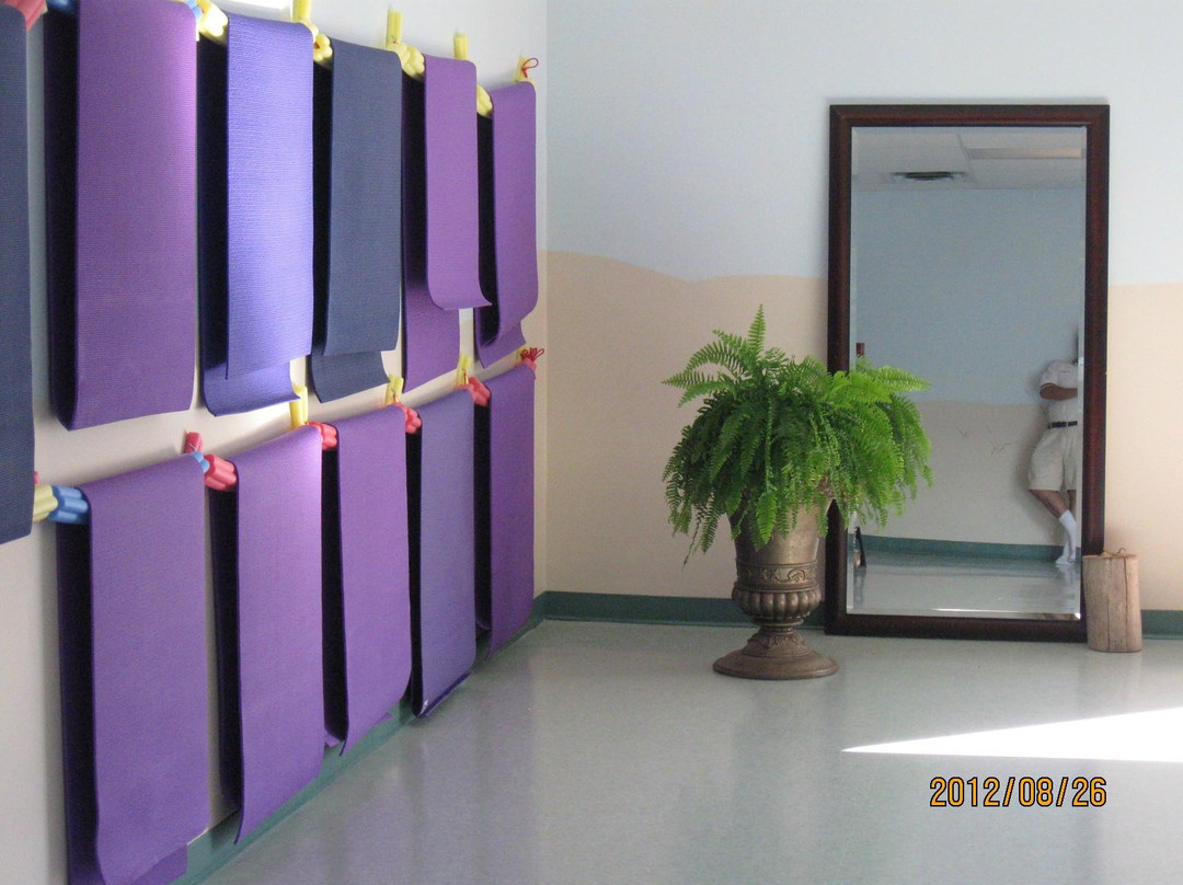 Rte 6 Yoga-卡文迪西必去景点