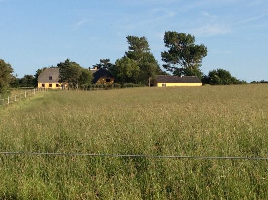 Bøjden Bed & Breakfast-客卧