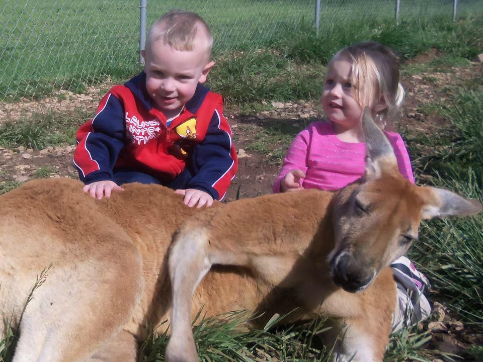 Kentucky Down Under Adventure Zoo景点图片