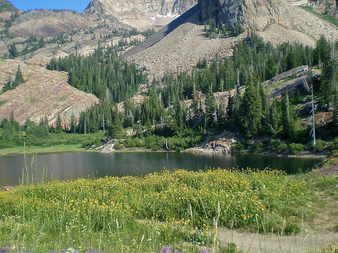 大三叶杨峡谷-盐湖城必去景点