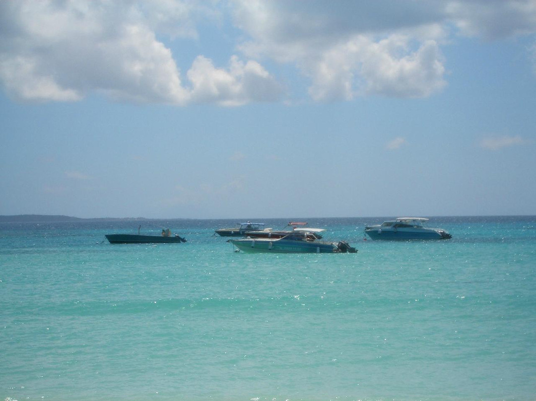 Cove Bay-West End Village必去景点