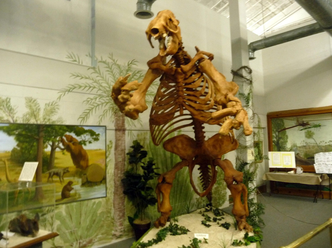 Brevard Museum of History and Natural Science景点图片