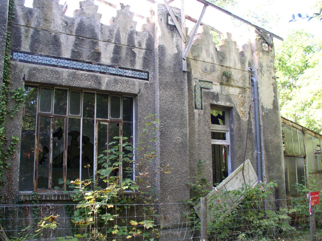 Garden of Tropical Agronomy景点图片