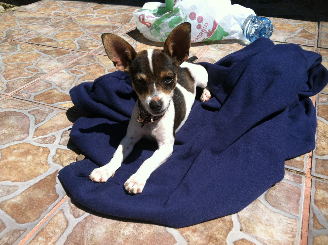 Finca Modelo Ecologica-蒙特沃德必去景点