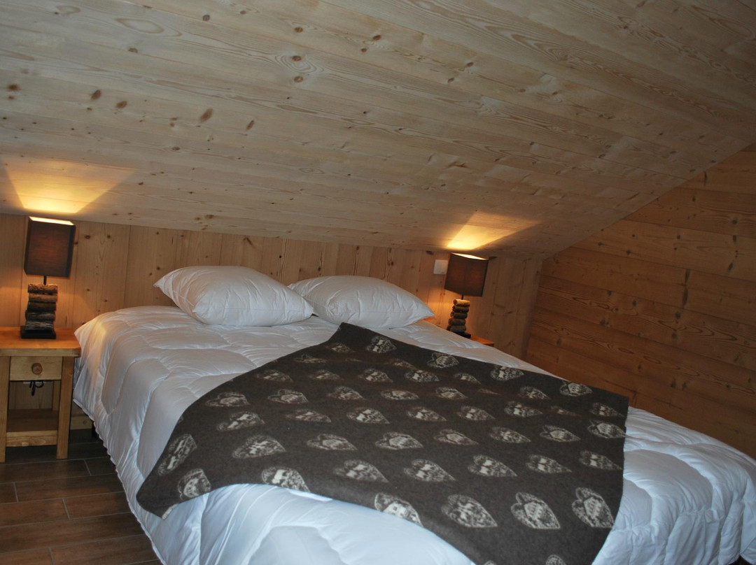 Chalet Sous le Jora主图