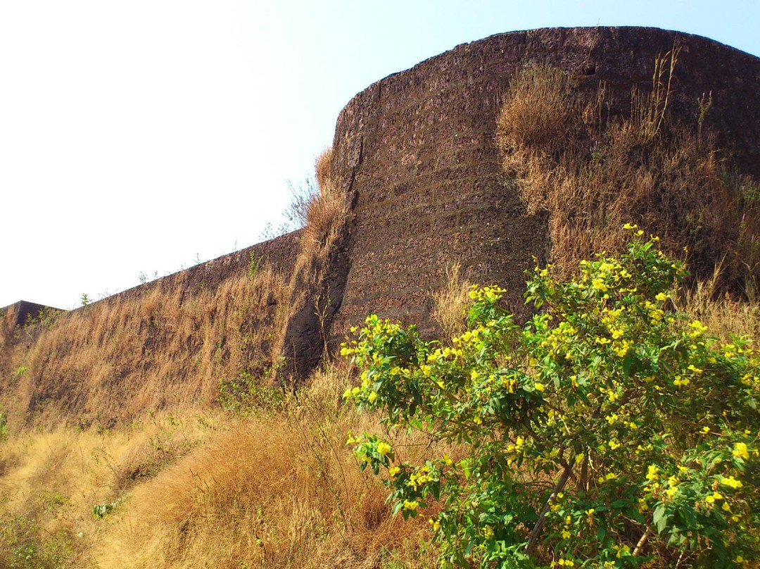 Chandragiri Fort景点图片