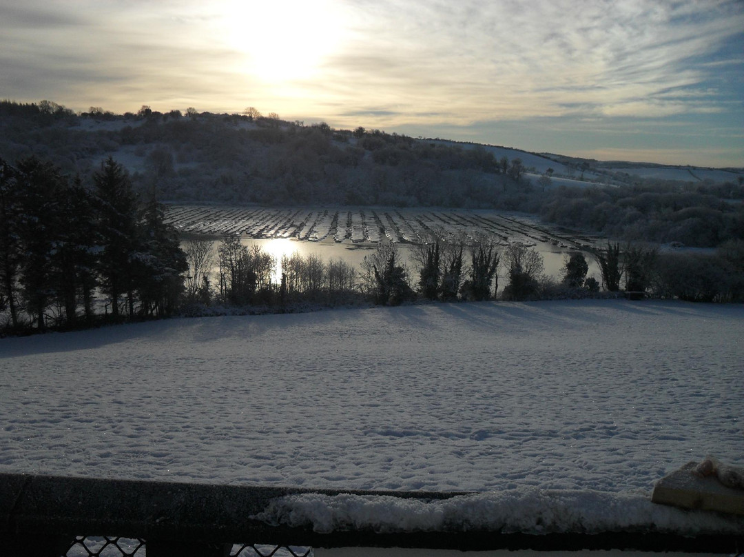 Ardlenagh View主图