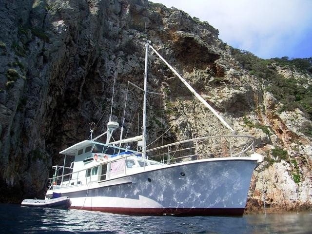 Oceanblue Adventures-Tutukaka必去景点