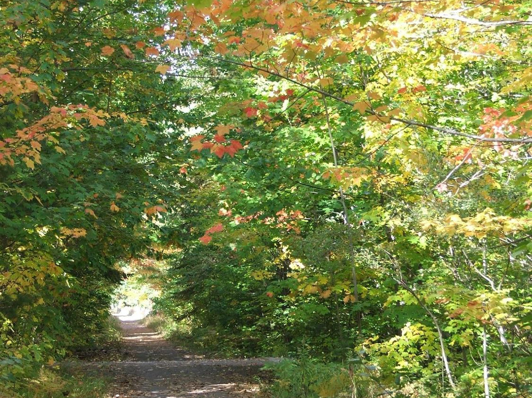 Nara Nature Park-霍顿必去景点