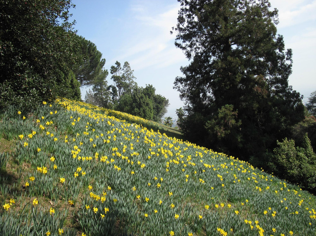 Parco della Burcina景点图片