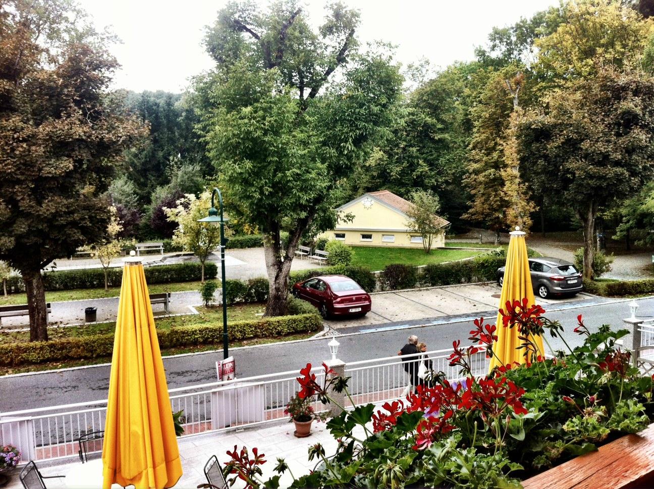 Hotel Zum Kastell-酒店景观
