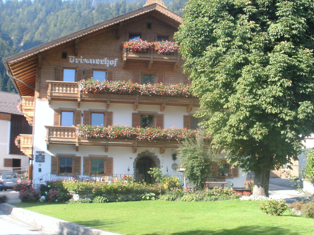 Strass im Zillertal酒店住宿-Brixnerhof