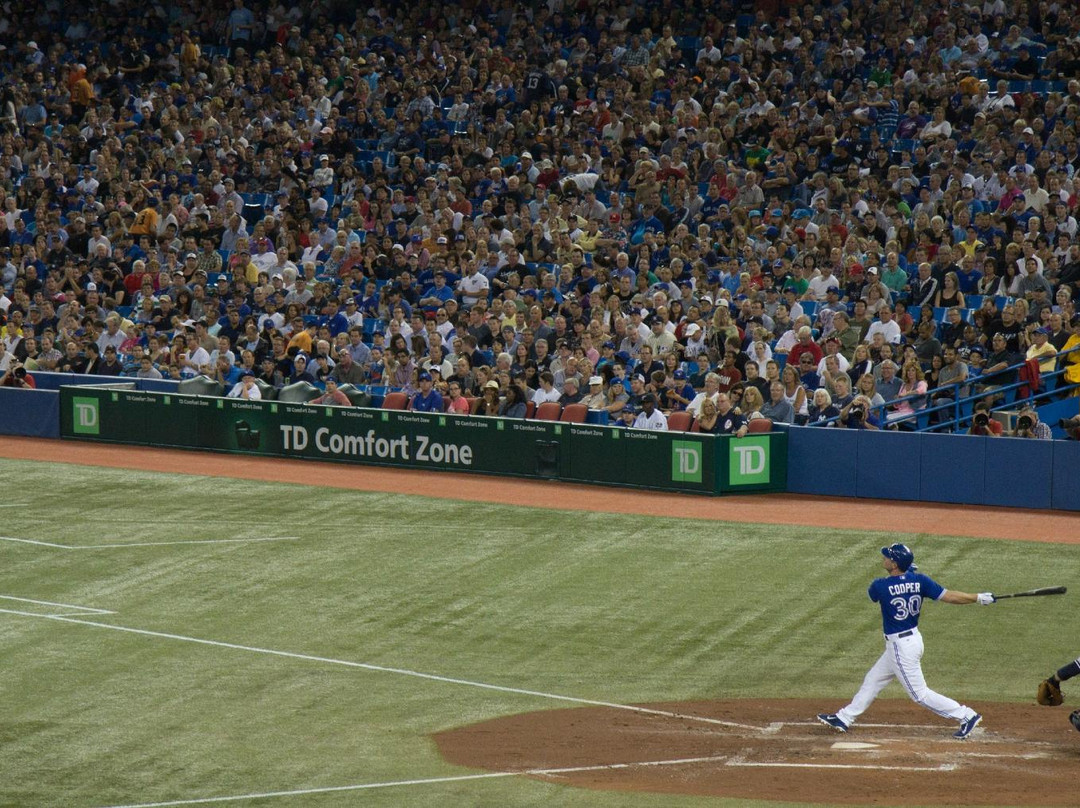 罗渣士中心-多伦多必去景点