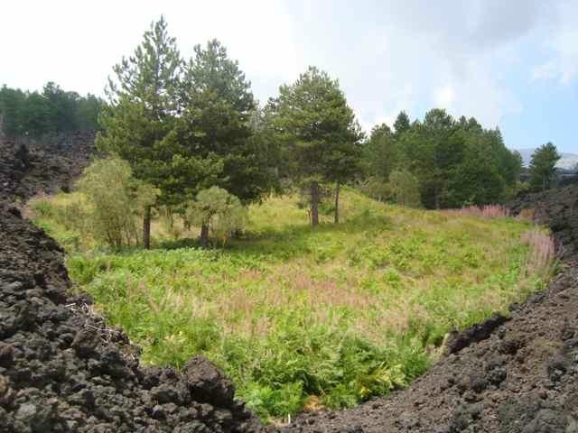 This Is Etna-卡塔尼亚必去景点