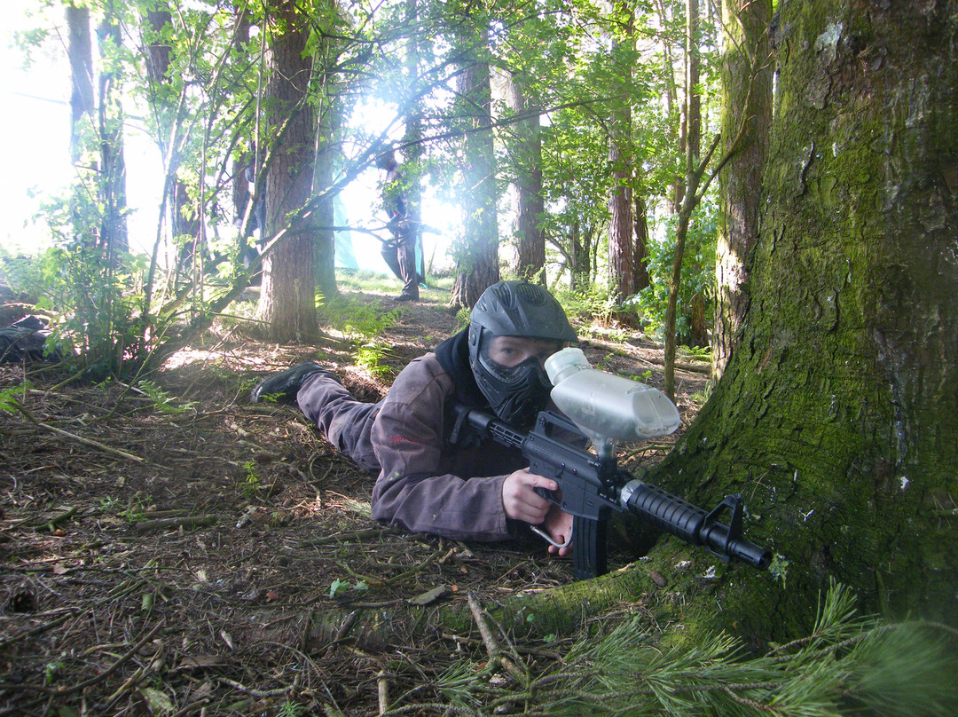 Bedlam Paintball- Edzell-Edzell必去景点