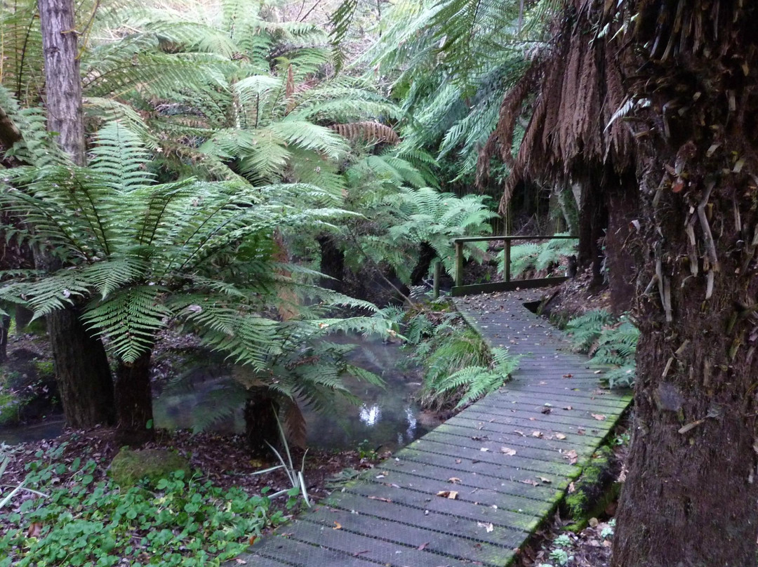 Golden Springs Holiday Park