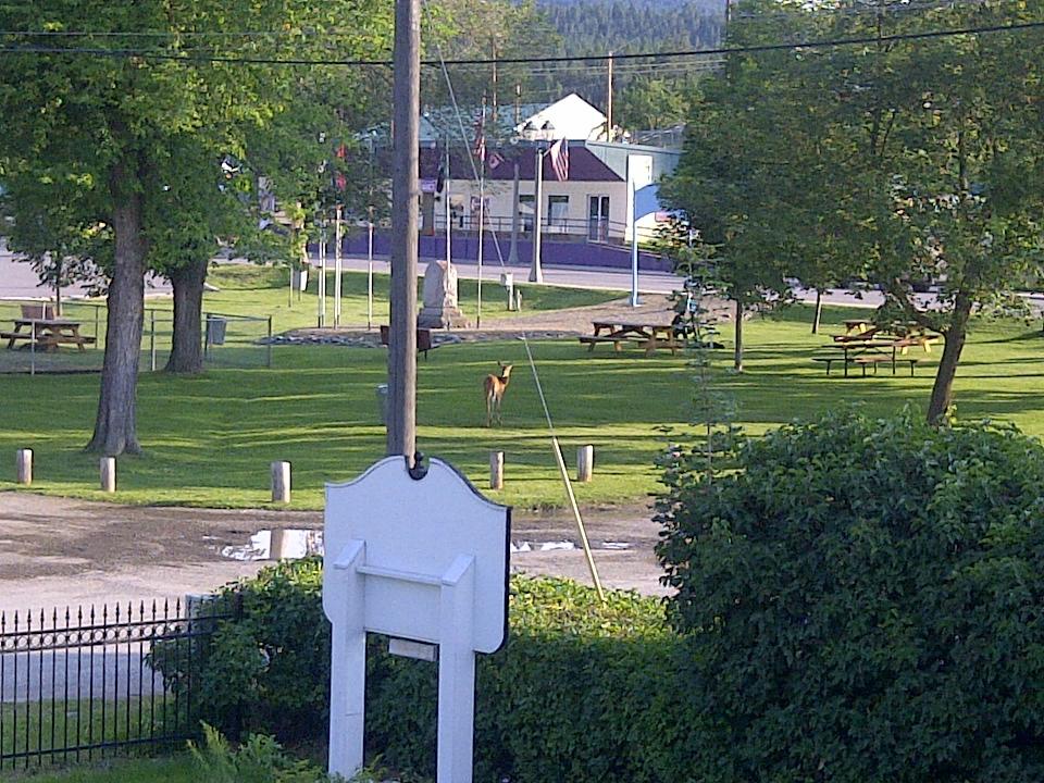 The 1908 Pruett House-浴室