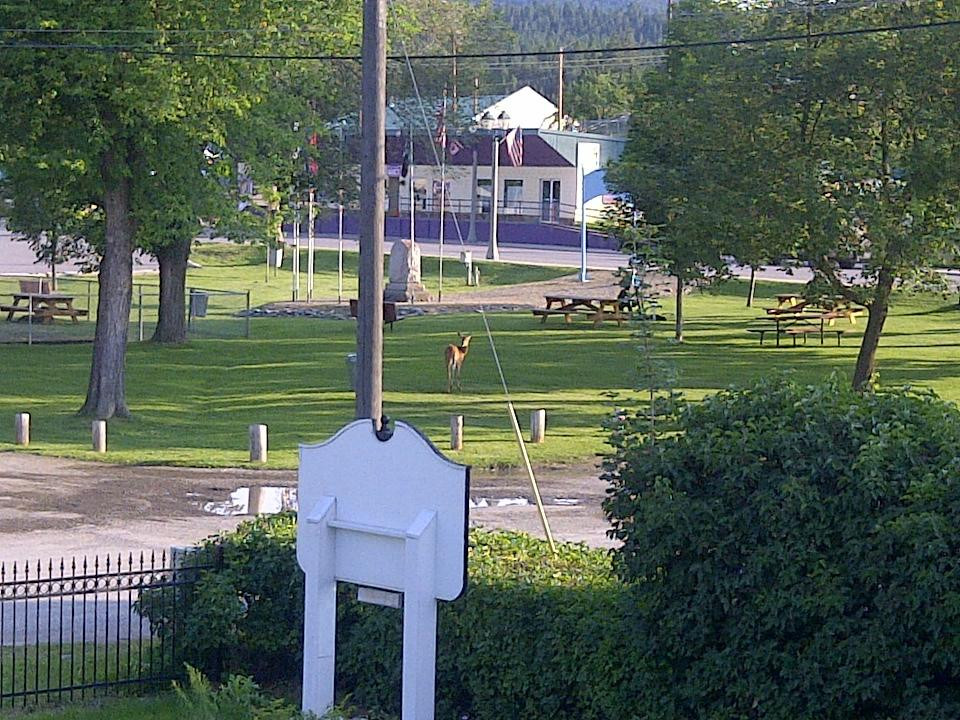 The 1908 Pruett House主图