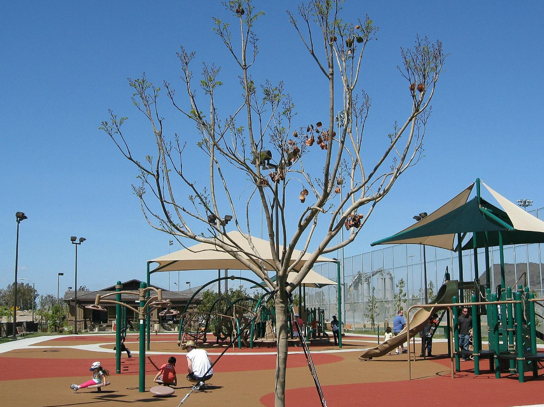 Steve Ambriz Memorial Park-橘子郡必去景点