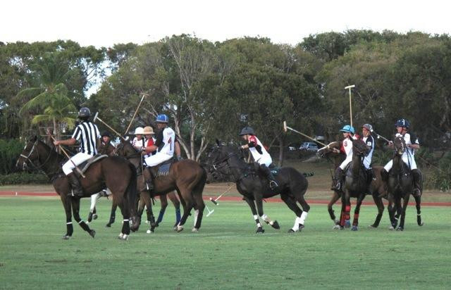 Barbados Polo Club-圣詹姆斯必去景点