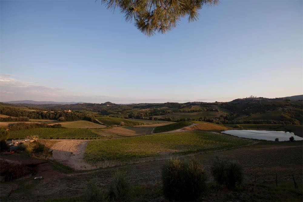 Fattoria Poggio Alloro景点图片