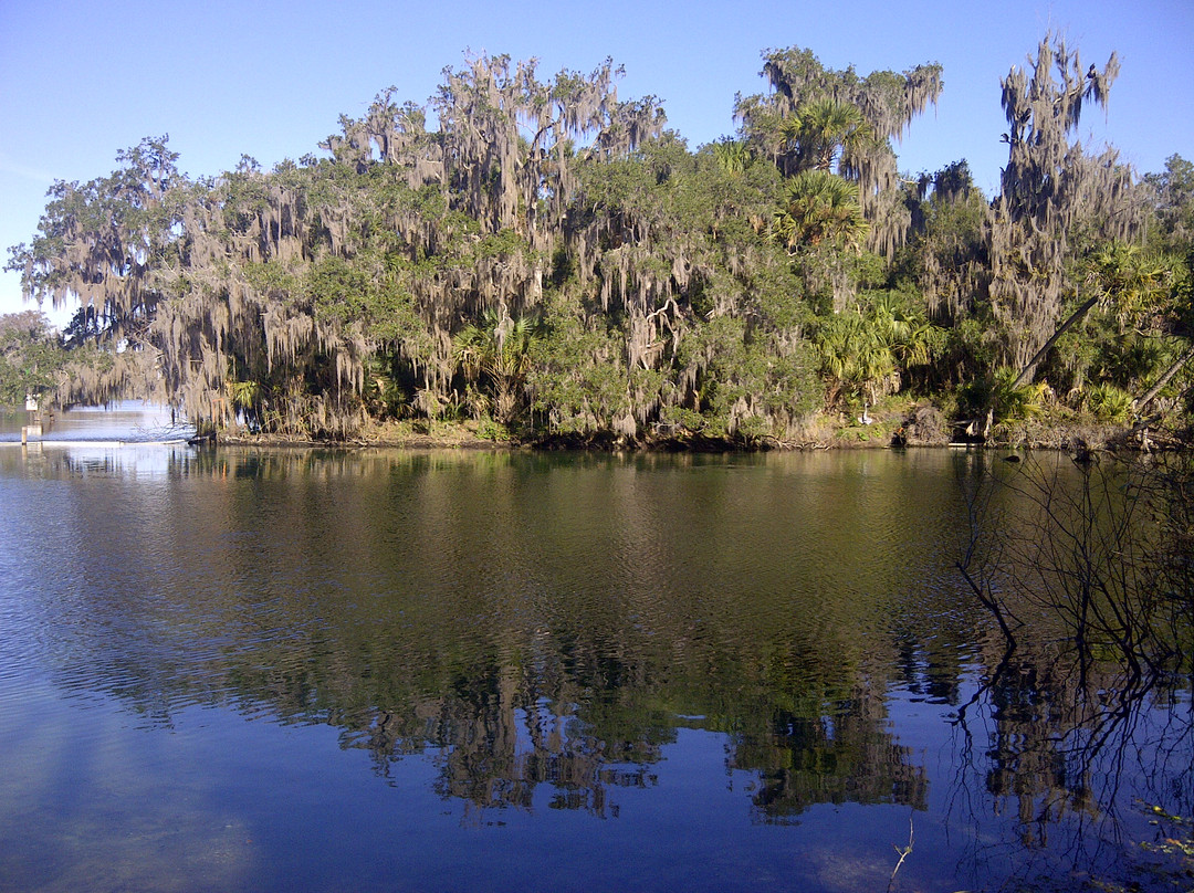 Blue Spring State Park-橙县必去景点