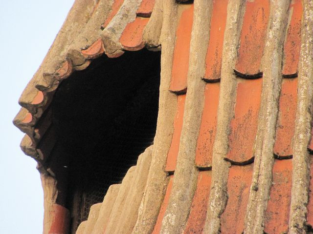 Trafoturm景点图片