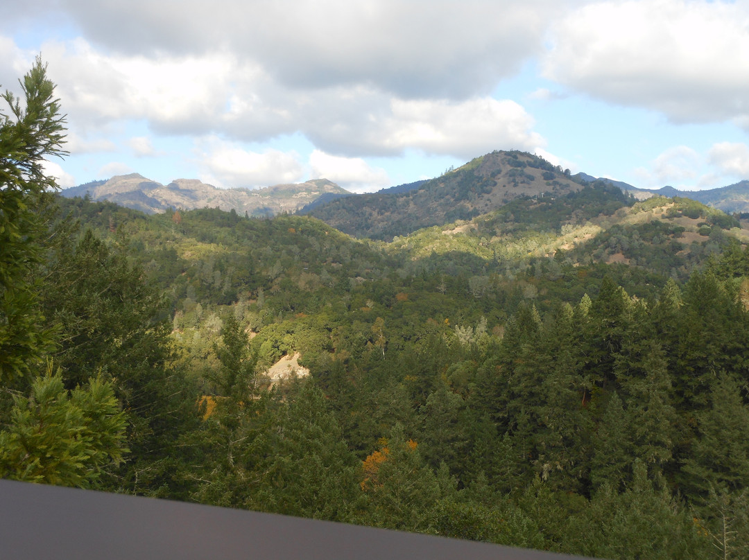 史特林酒庄-卡利斯托加必去景点