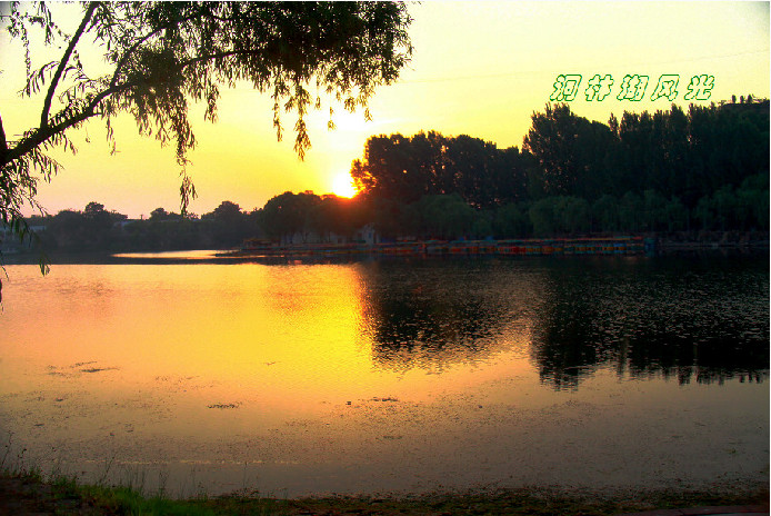 洞林湖-荥阳市必去景点