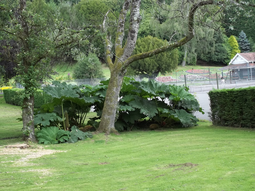 Cwmdonkin Park-斯温西必去景点