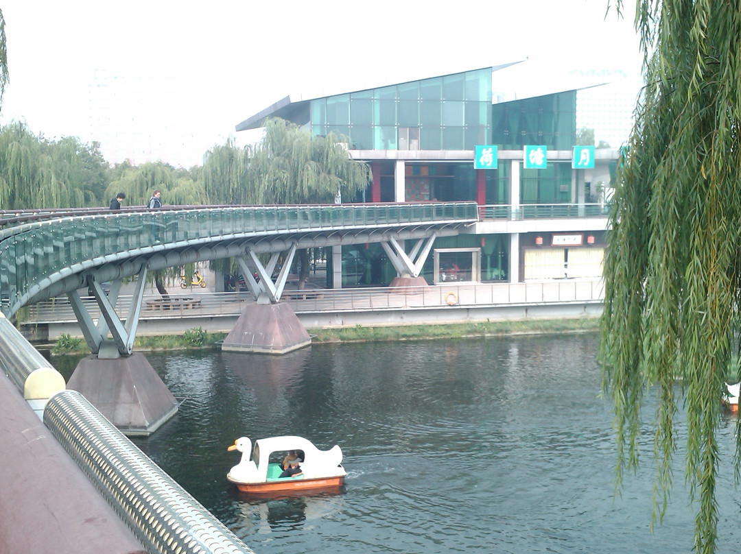 泉城公园-济南市必去景点