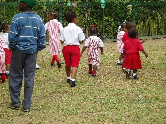 Ardastra Gardens & Wildlife Conservation Centre-拿骚必去景点
