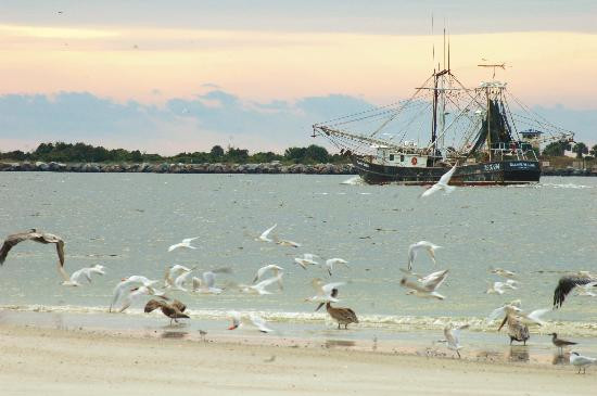 Huguenot Memorial Park-杰克逊维尔必去景点