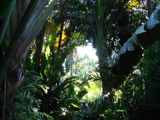 Sunken Gardens-圣彼德斯堡必去景点