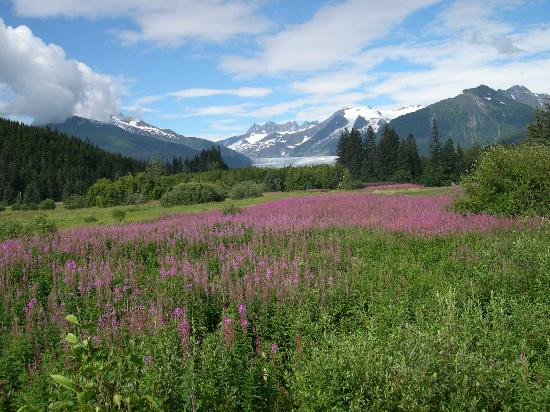 Inside Passage-阿拉斯加必去景点