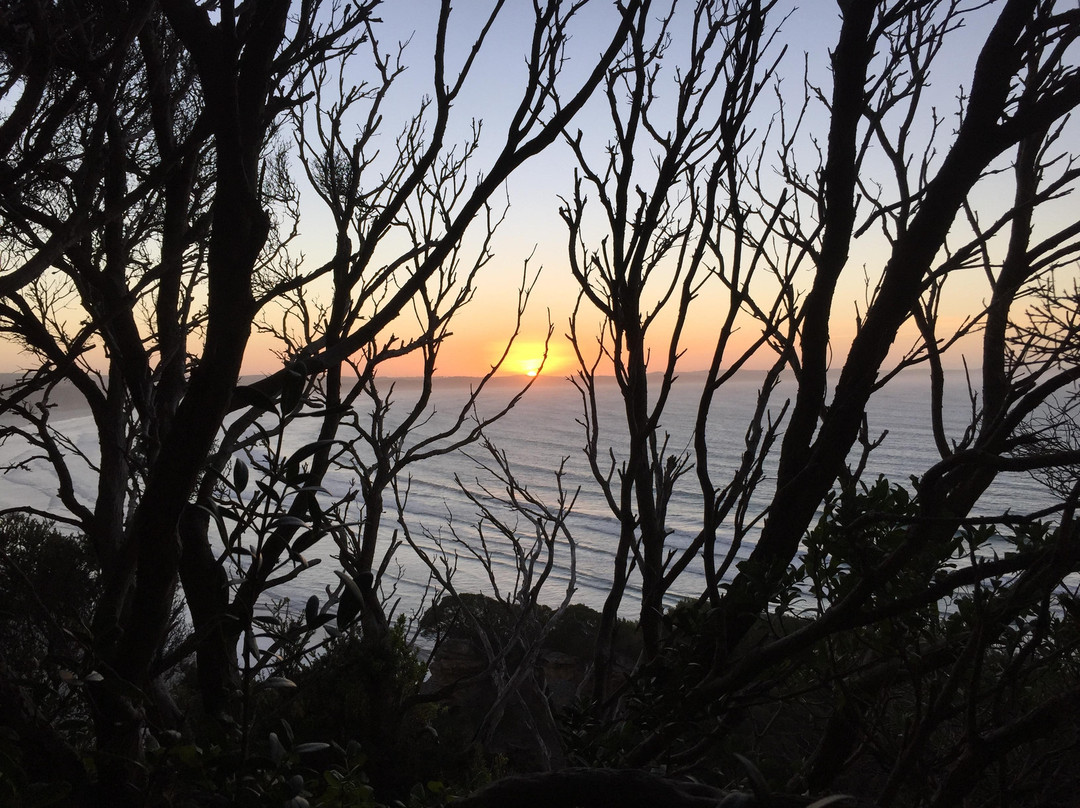 Cape Bridgewater Seal Walk-Cape Bridgewater必去景点