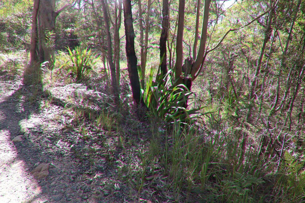 Garawarra State Conservation Area