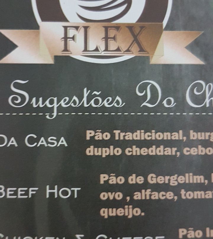 Flex Burguer