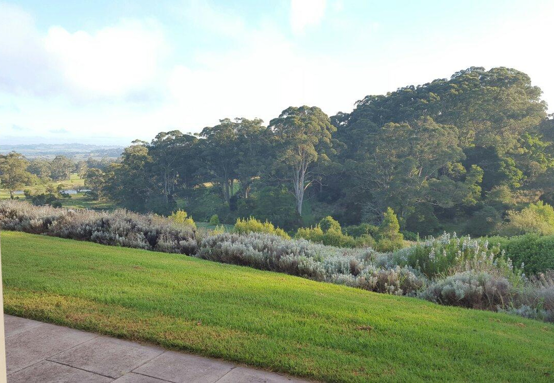 Fitzroy Falls餐馆和美食-Burrawang Hotel