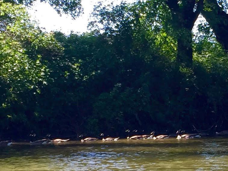 Chimney Rock Campground