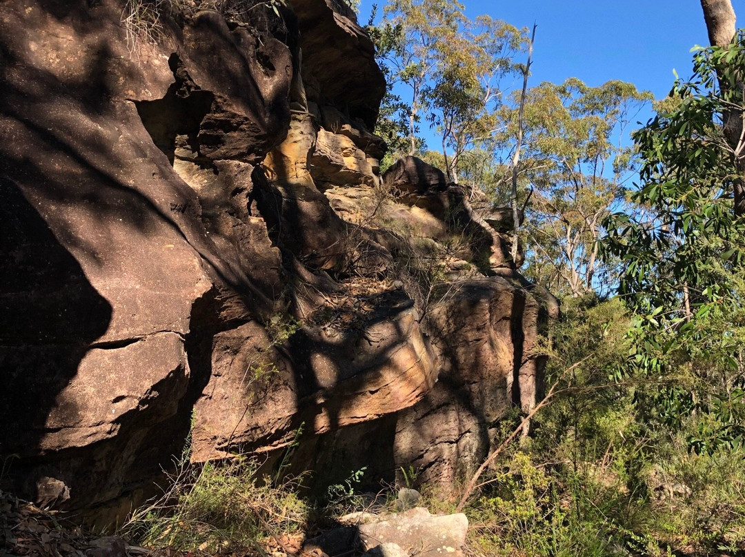Rickard Road Fire Trail景点图片