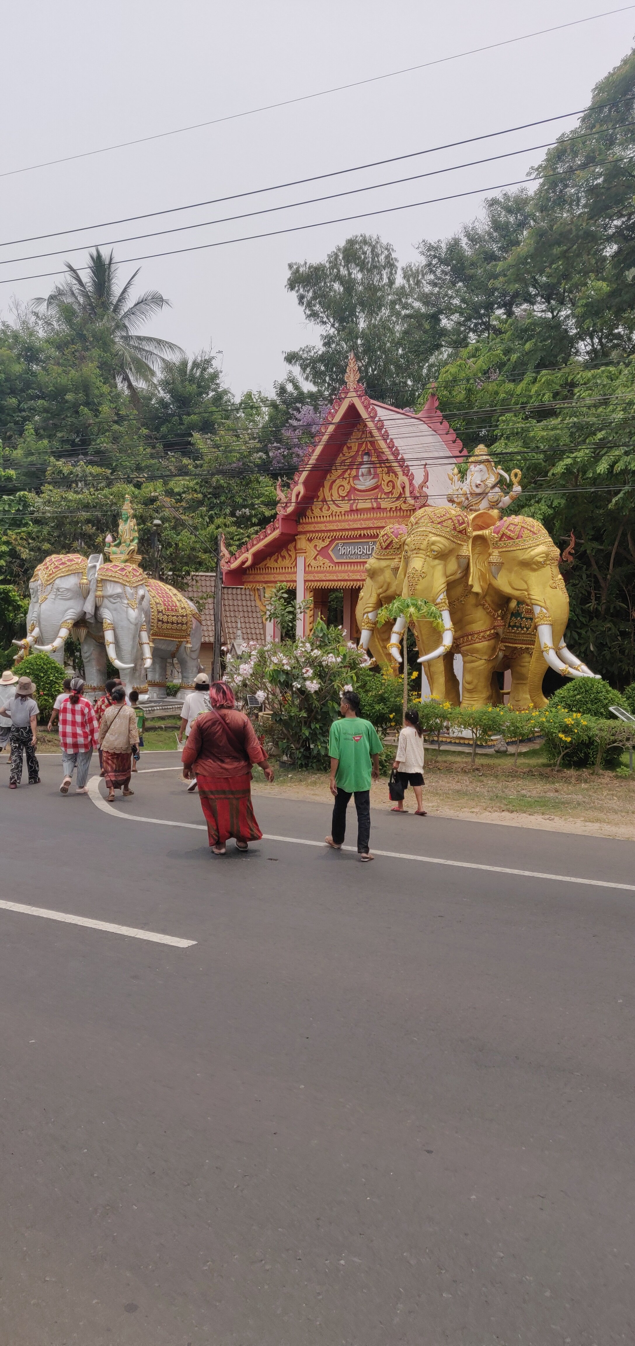 The New Residence-官方