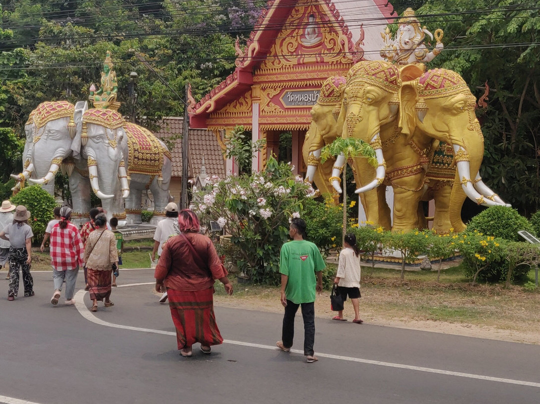 The New Residence主图