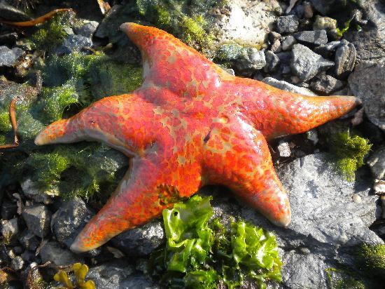 卡彻马克湾州立公园-荷马必去景点