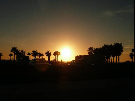 威尼斯海滩-洛杉矶必去景点