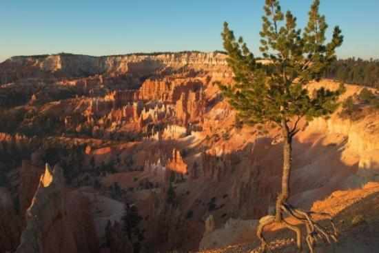 Sunrise Point-布莱斯峡谷国家公园必去景点